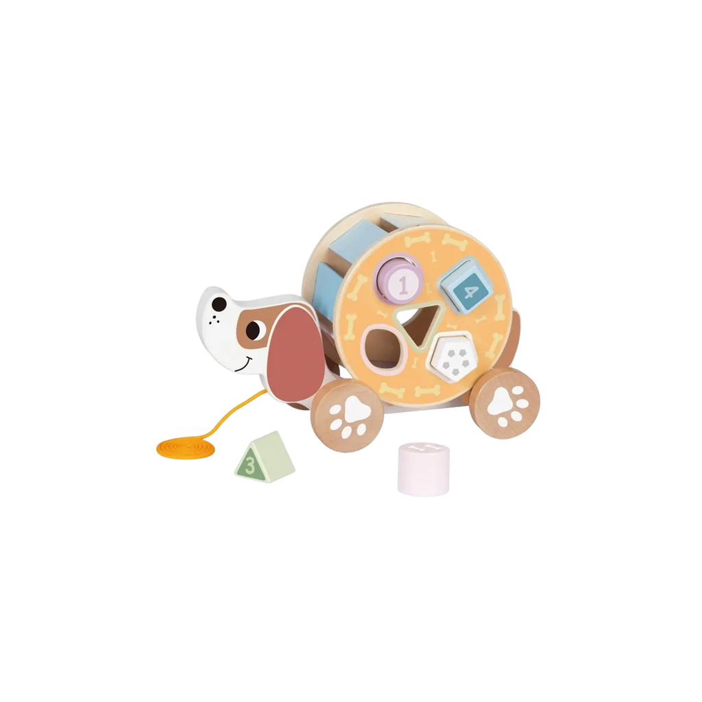 პატარა ძაღლი ფორმების სამყაროში — „საუკეთესო მეგზური პირველ ნაბიჯებზე“